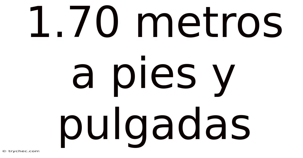 1.70 Metros A Pies Y Pulgadas