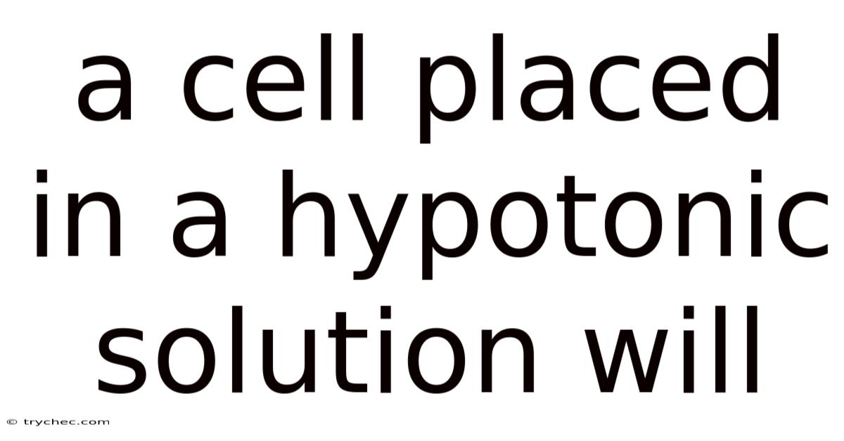 A Cell Placed In A Hypotonic Solution Will