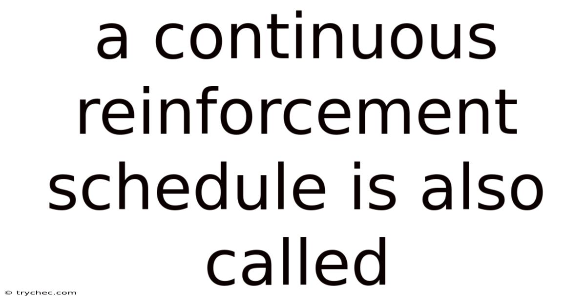 A Continuous Reinforcement Schedule Is Also Called
