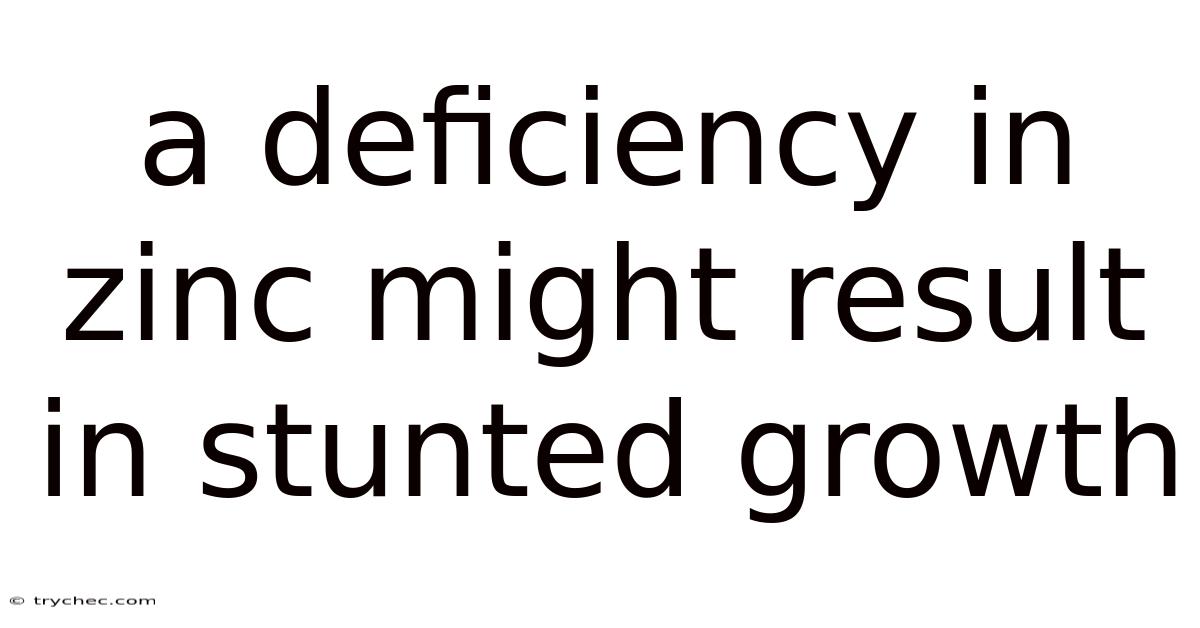 A Deficiency In Zinc Might Result In Stunted Growth