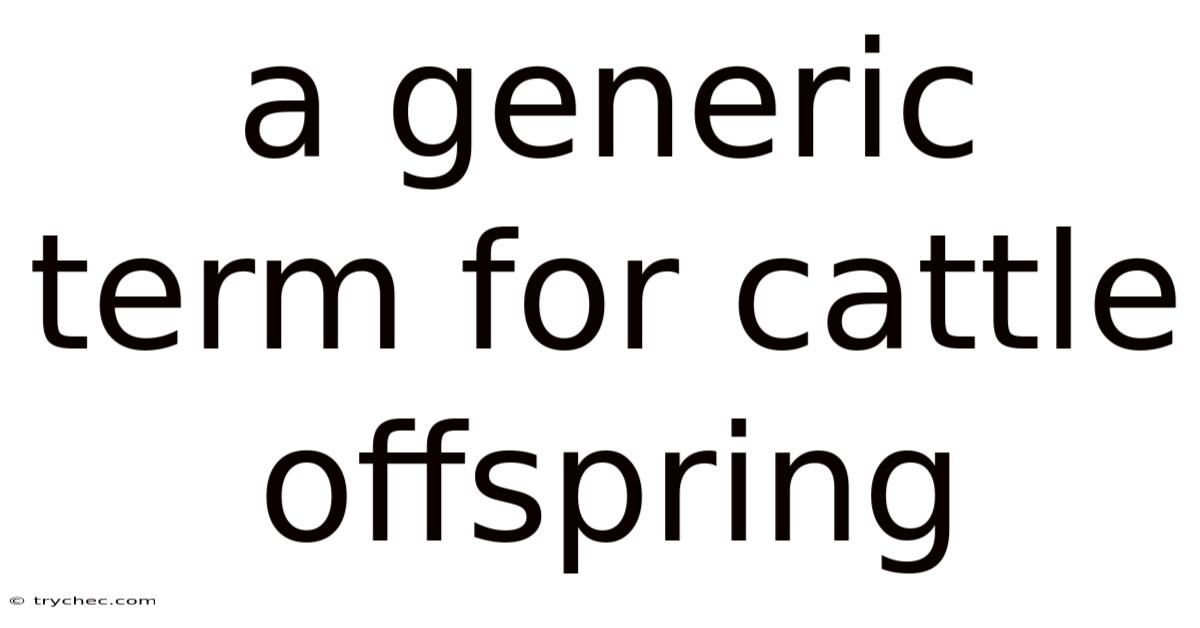 A Generic Term For Cattle Offspring