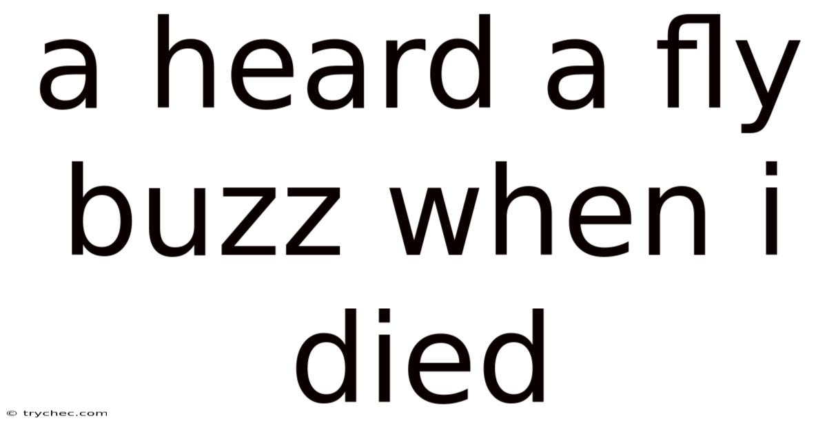 A Heard A Fly Buzz When I Died