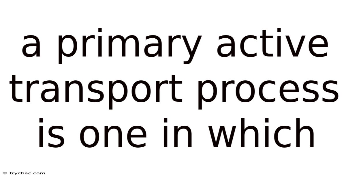 A Primary Active Transport Process Is One In Which