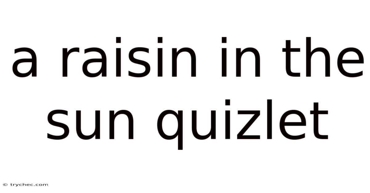 A Raisin In The Sun Quizlet