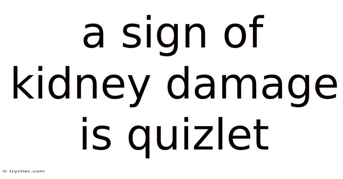 A Sign Of Kidney Damage Is Quizlet
