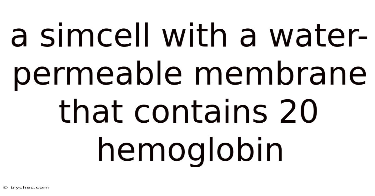 A Simcell With A Water-permeable Membrane That Contains 20 Hemoglobin