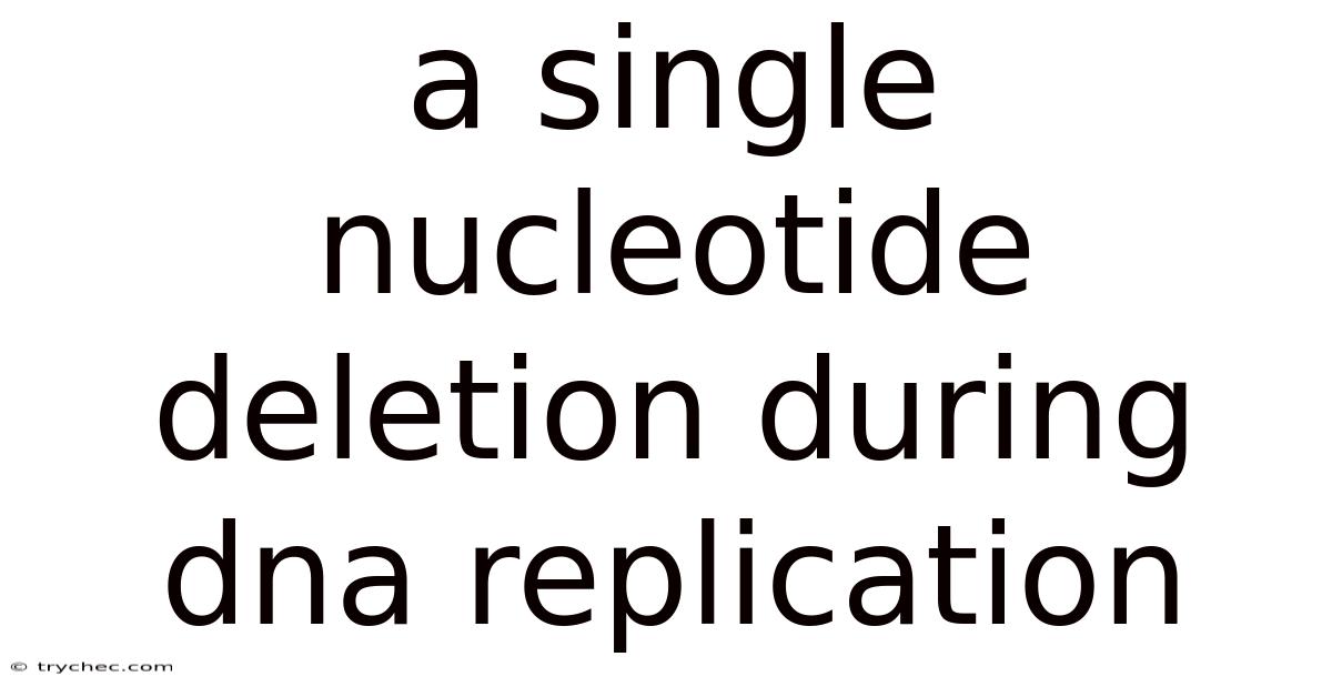 A Single Nucleotide Deletion During Dna Replication