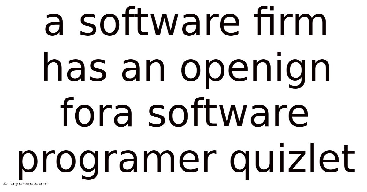 A Software Firm Has An Openign Fora Software Programer Quizlet