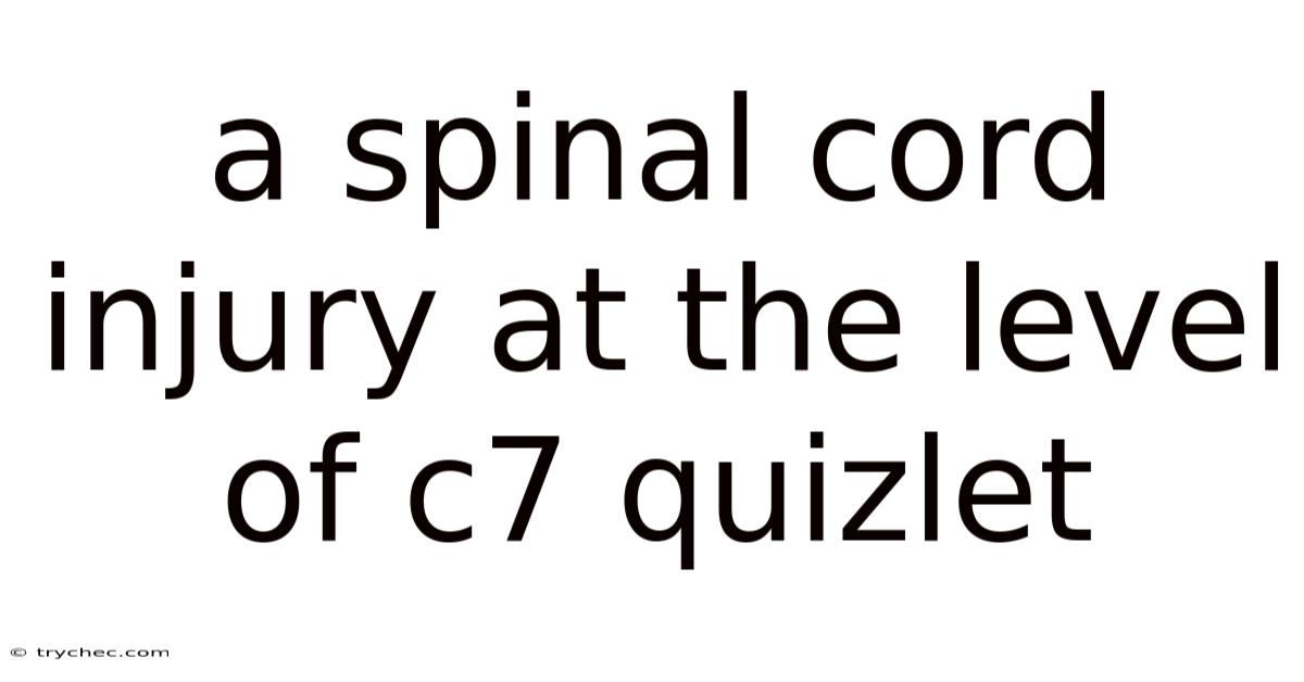 A Spinal Cord Injury At The Level Of C7 Quizlet