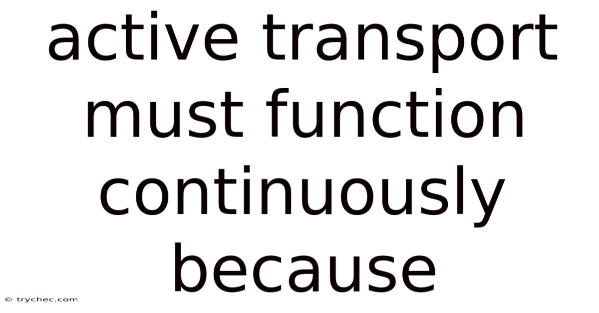 Active Transport Must Function Continuously Because