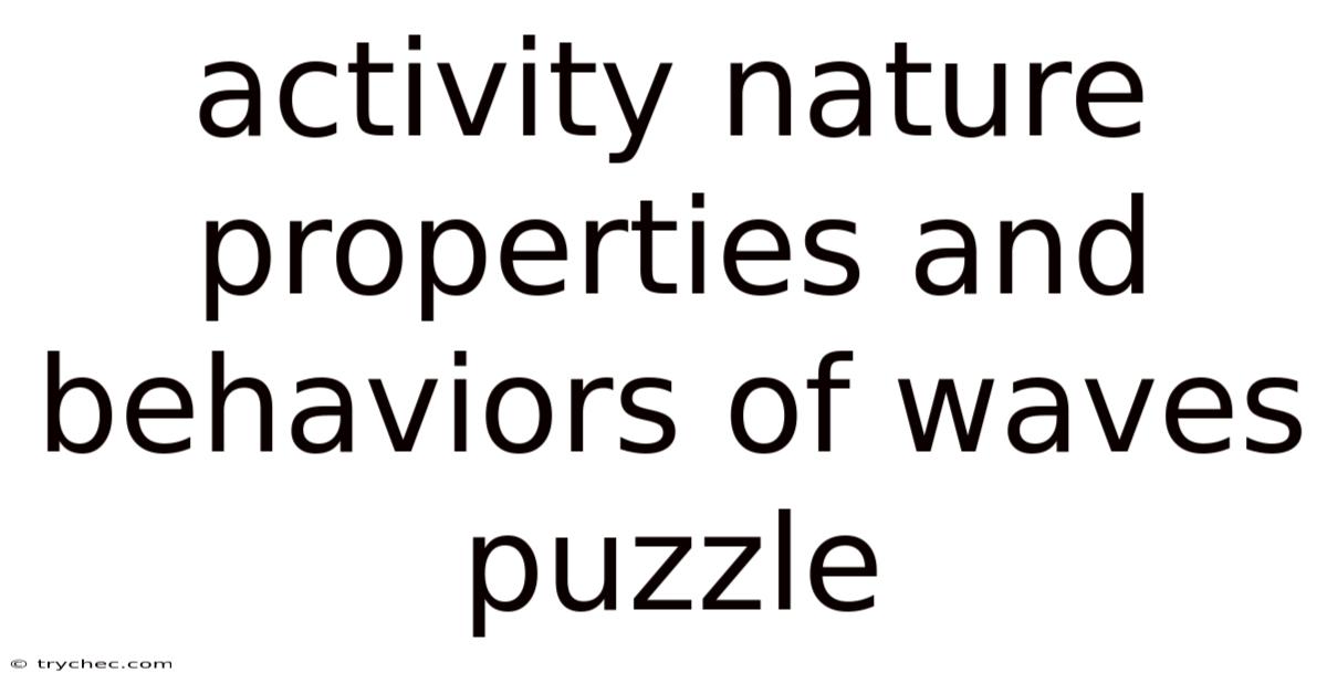 Activity Nature Properties And Behaviors Of Waves Puzzle