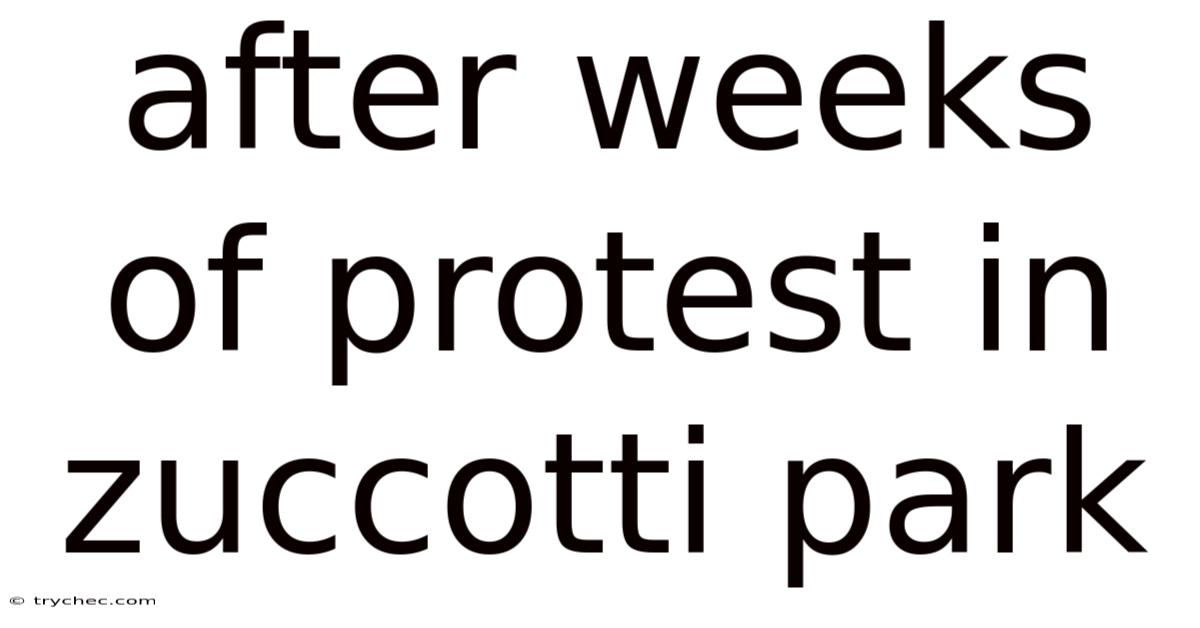 After Weeks Of Protest In Zuccotti Park