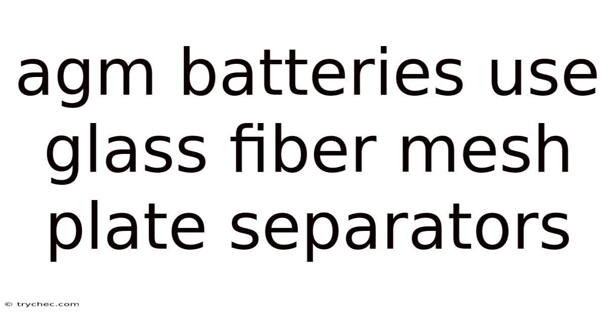 Agm Batteries Use Glass Fiber Mesh Plate Separators