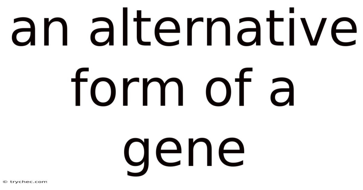 An Alternative Form Of A Gene