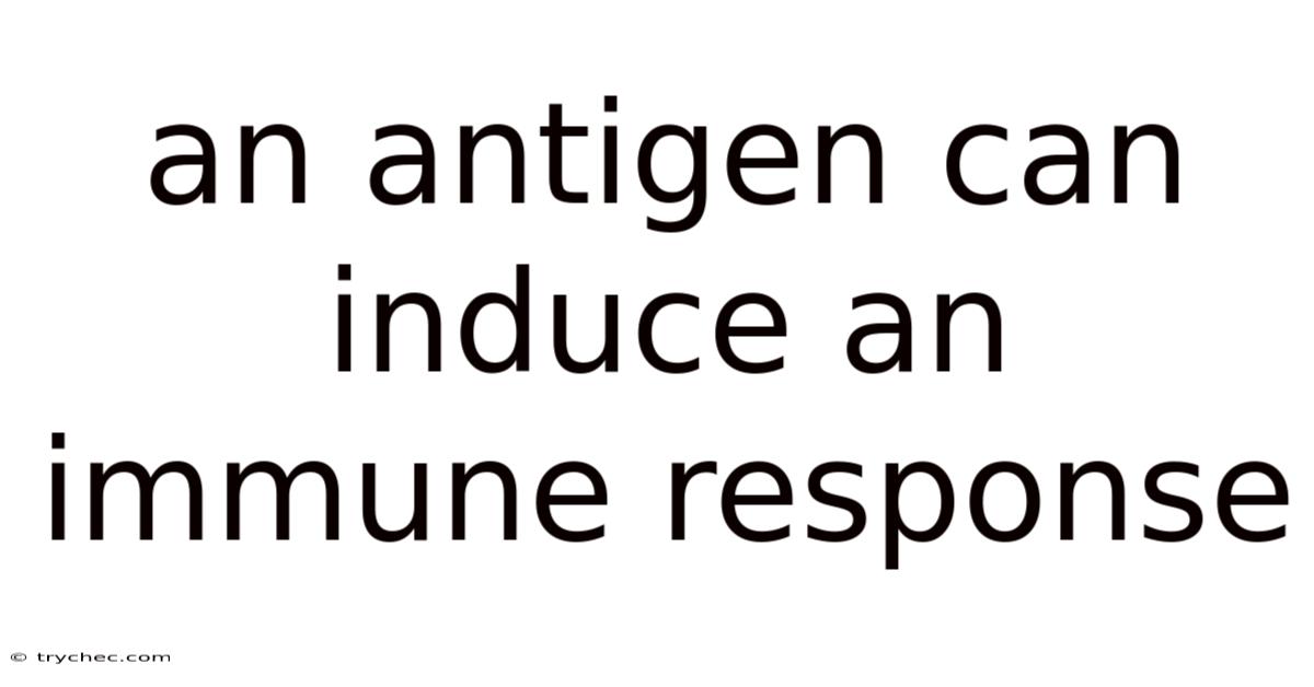 An Antigen Can Induce An Immune Response