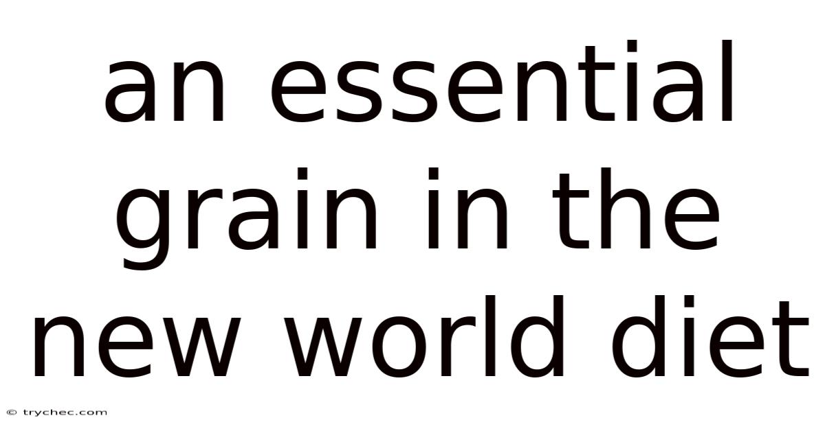 An Essential Grain In The New World Diet