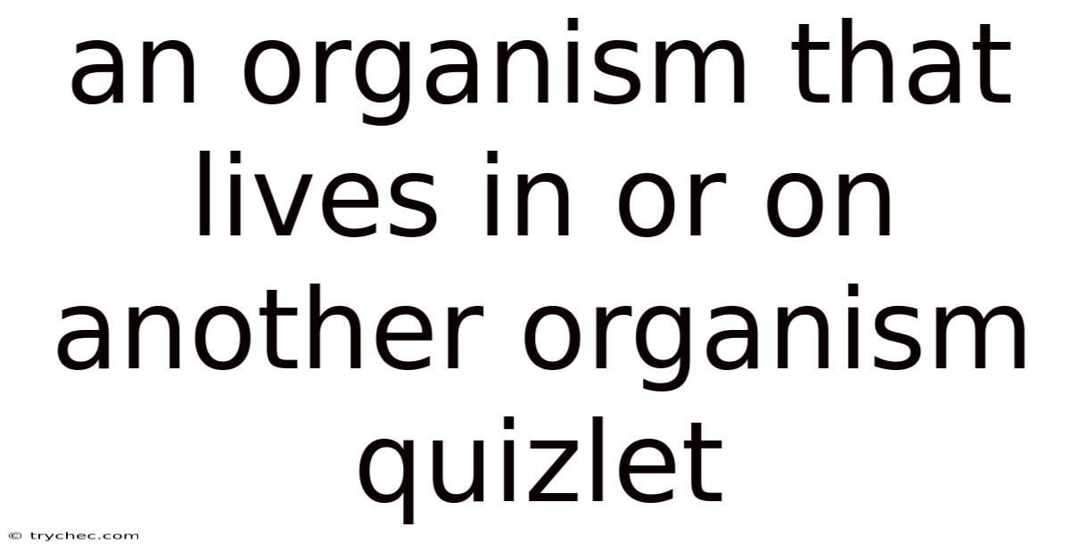 An Organism That Lives In Or On Another Organism Quizlet