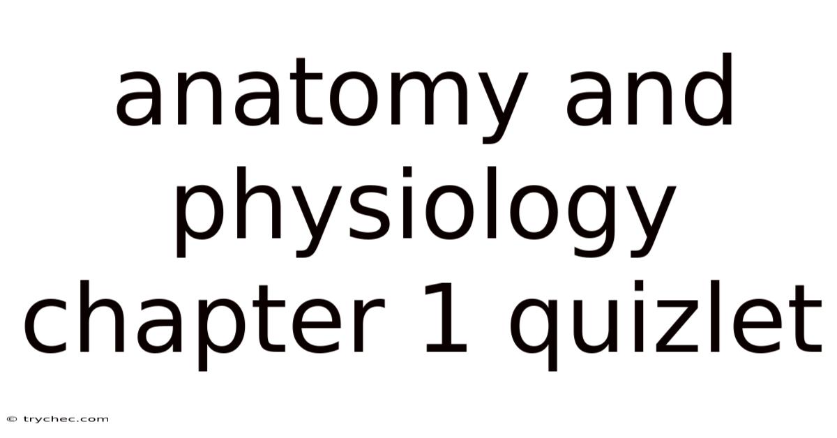 Anatomy And Physiology Chapter 1 Quizlet