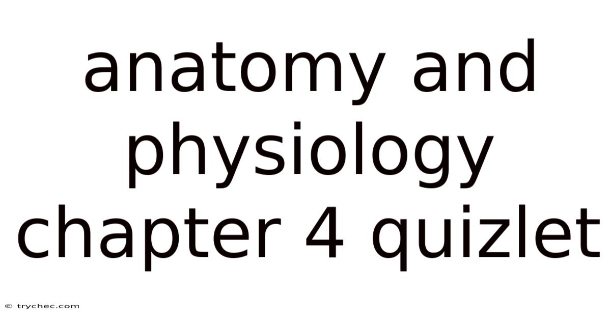Anatomy And Physiology Chapter 4 Quizlet
