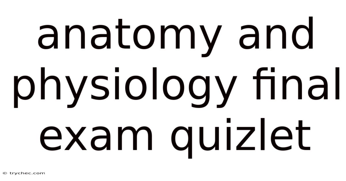 Anatomy And Physiology Final Exam Quizlet