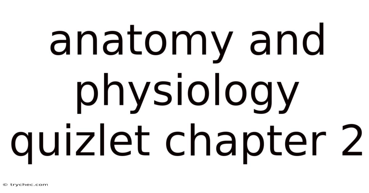 Anatomy And Physiology Quizlet Chapter 2