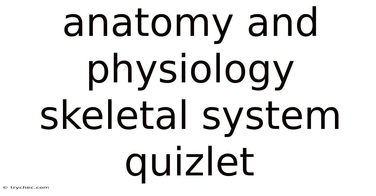 Anatomy And Physiology Skeletal System Quizlet