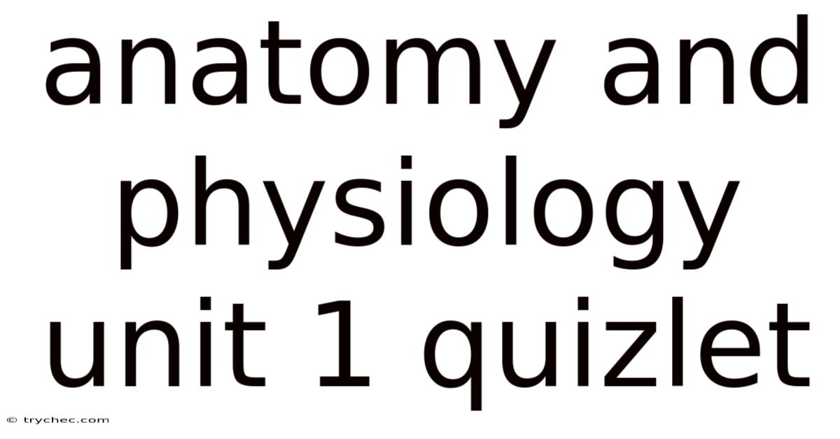 Anatomy And Physiology Unit 1 Quizlet