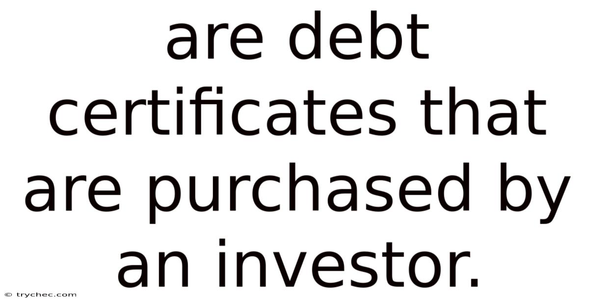 Are Debt Certificates That Are Purchased By An Investor.
