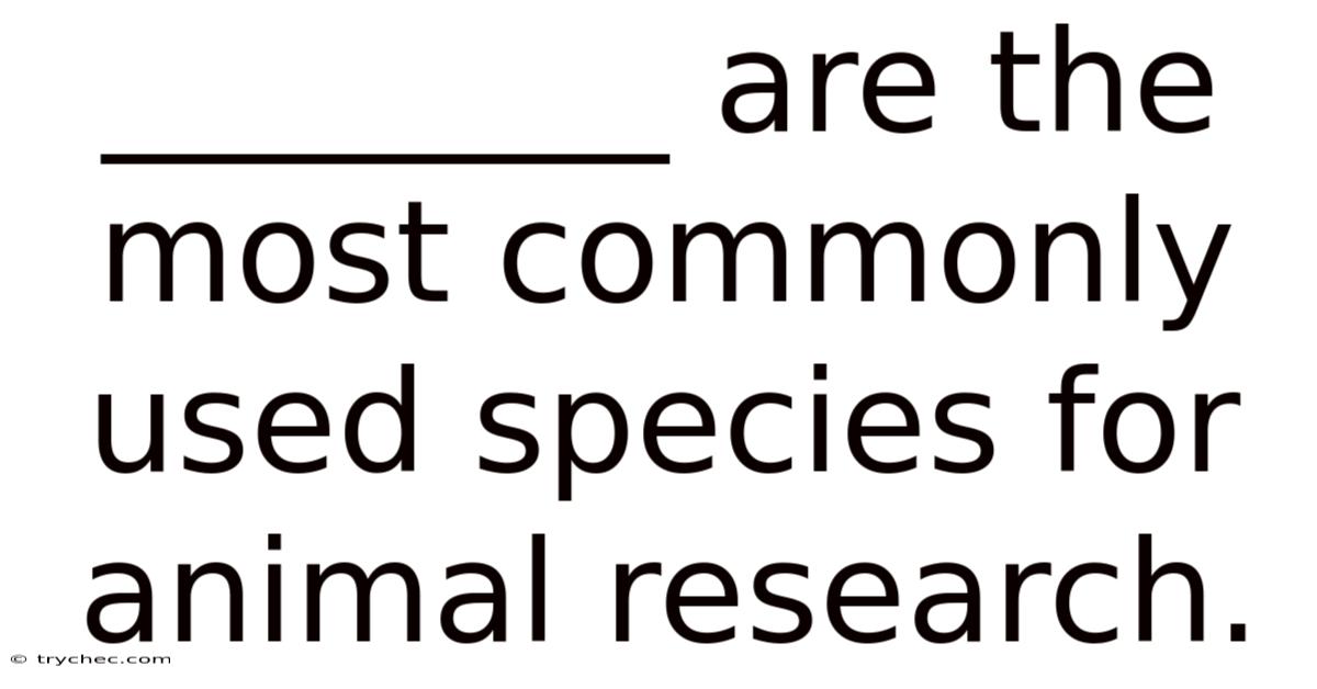 ________ Are The Most Commonly Used Species For Animal Research.