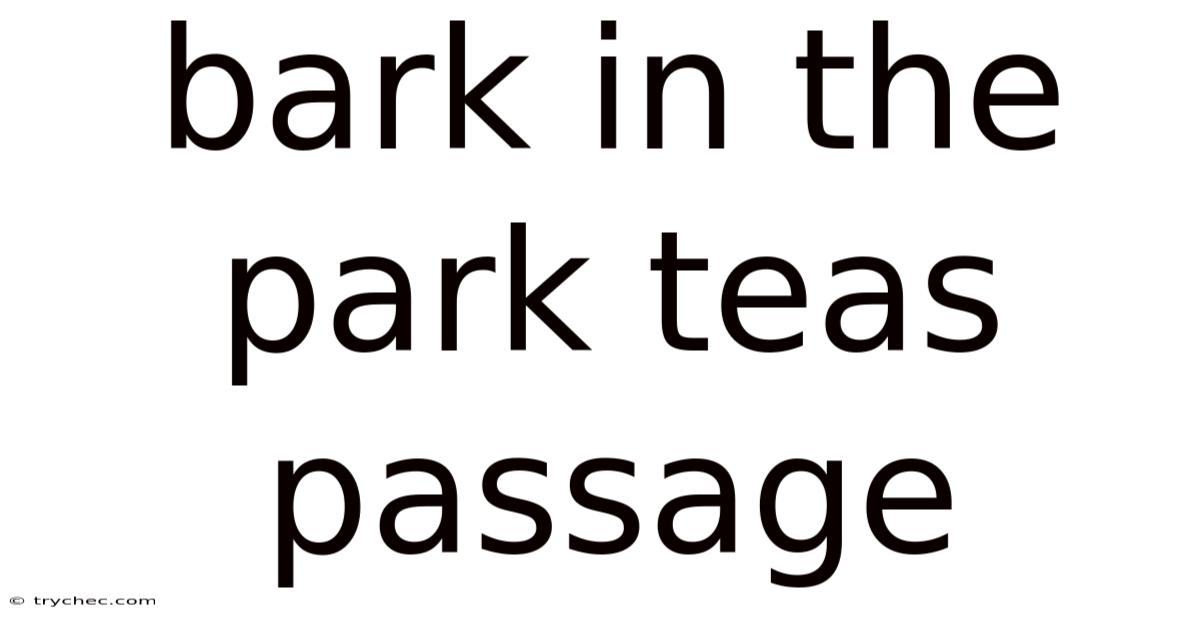 Bark In The Park Teas Passage