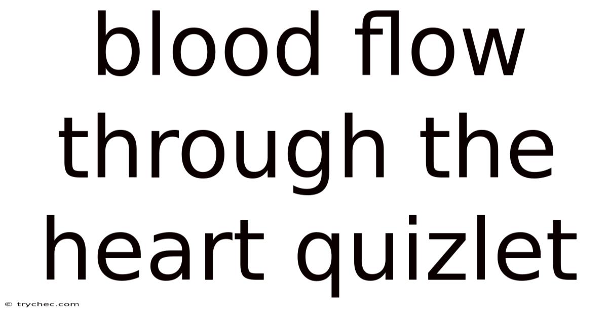 Blood Flow Through The Heart Quizlet