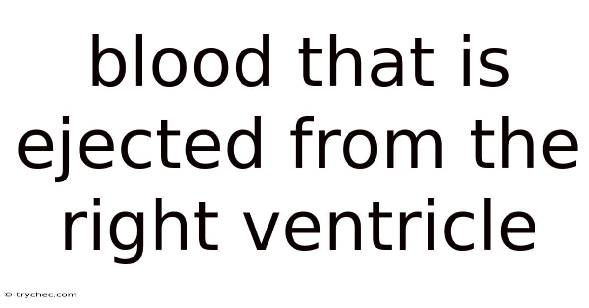 Blood That Is Ejected From The Right Ventricle