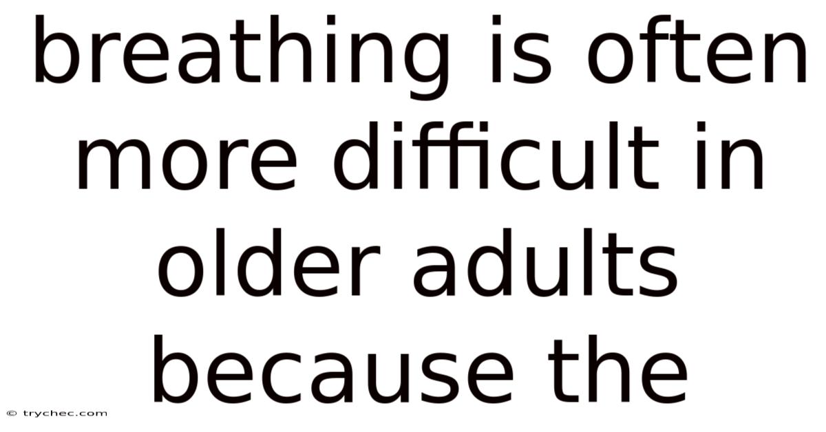 Breathing Is Often More Difficult In Older Adults Because The