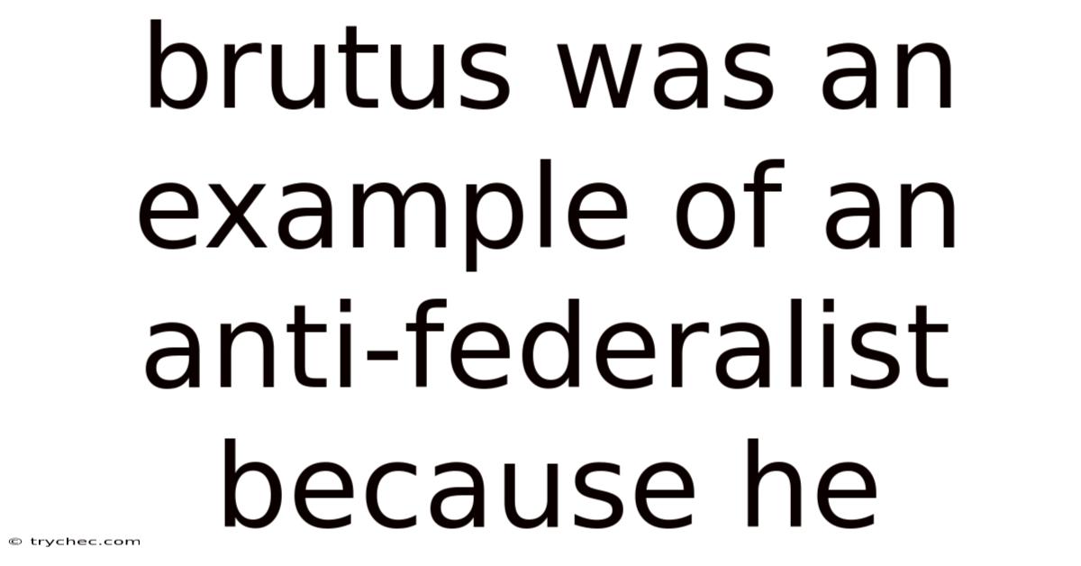 Brutus Was An Example Of An Anti-federalist Because He