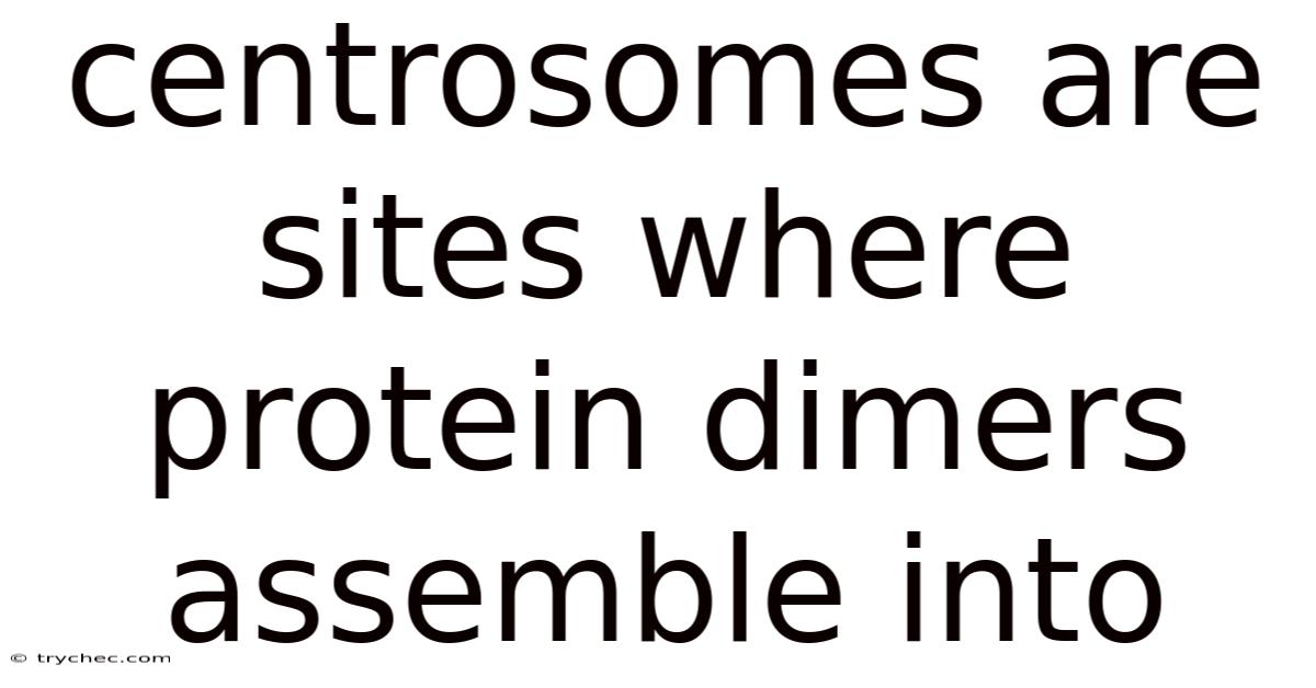 Centrosomes Are Sites Where Protein Dimers Assemble Into