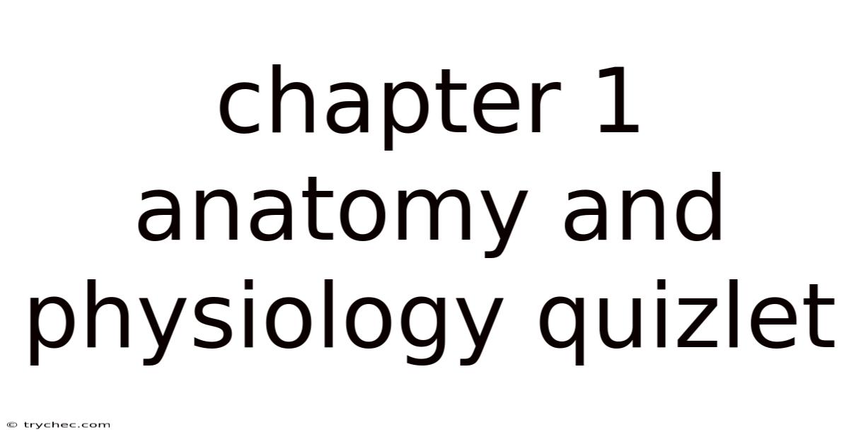 Chapter 1 Anatomy And Physiology Quizlet