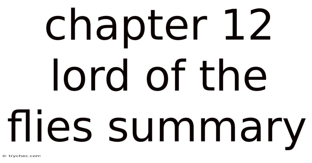 Chapter 12 Lord Of The Flies Summary