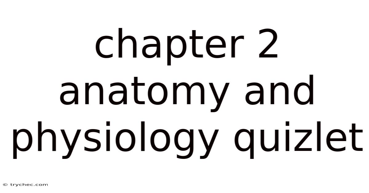 Chapter 2 Anatomy And Physiology Quizlet