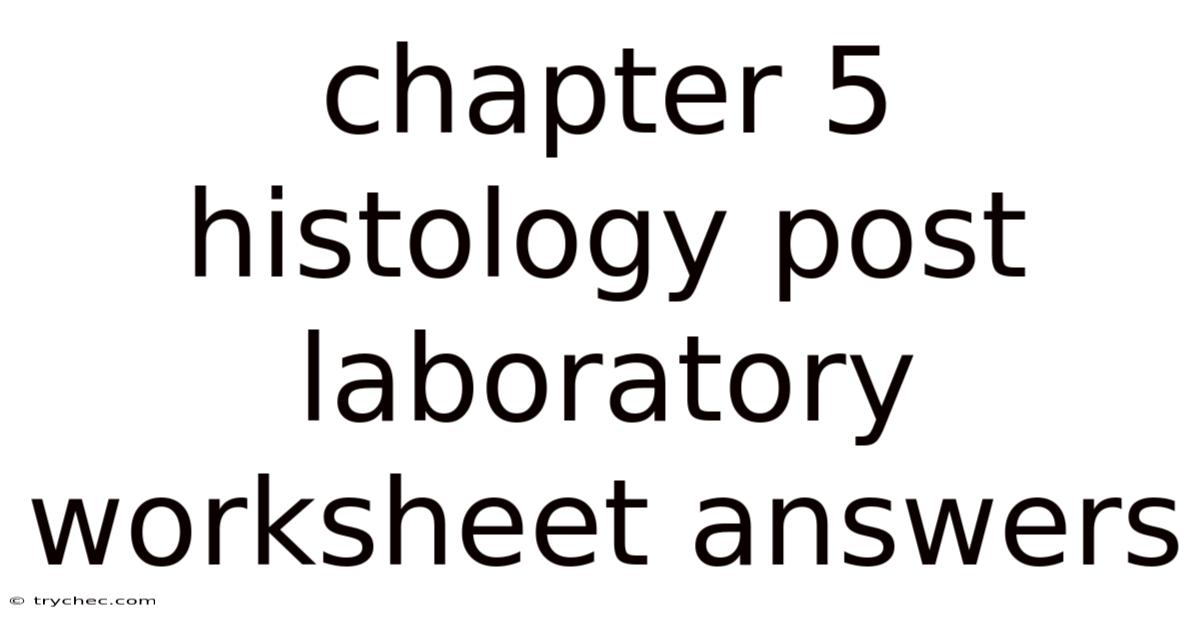 Chapter 5 Histology Post Laboratory Worksheet Answers