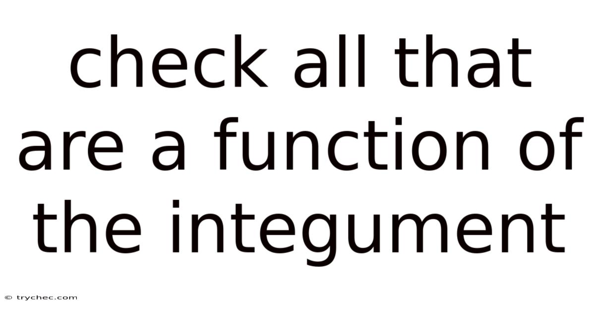Check All That Are A Function Of The Integument