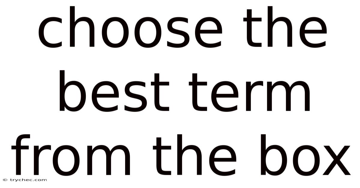 Choose The Best Term From The Box