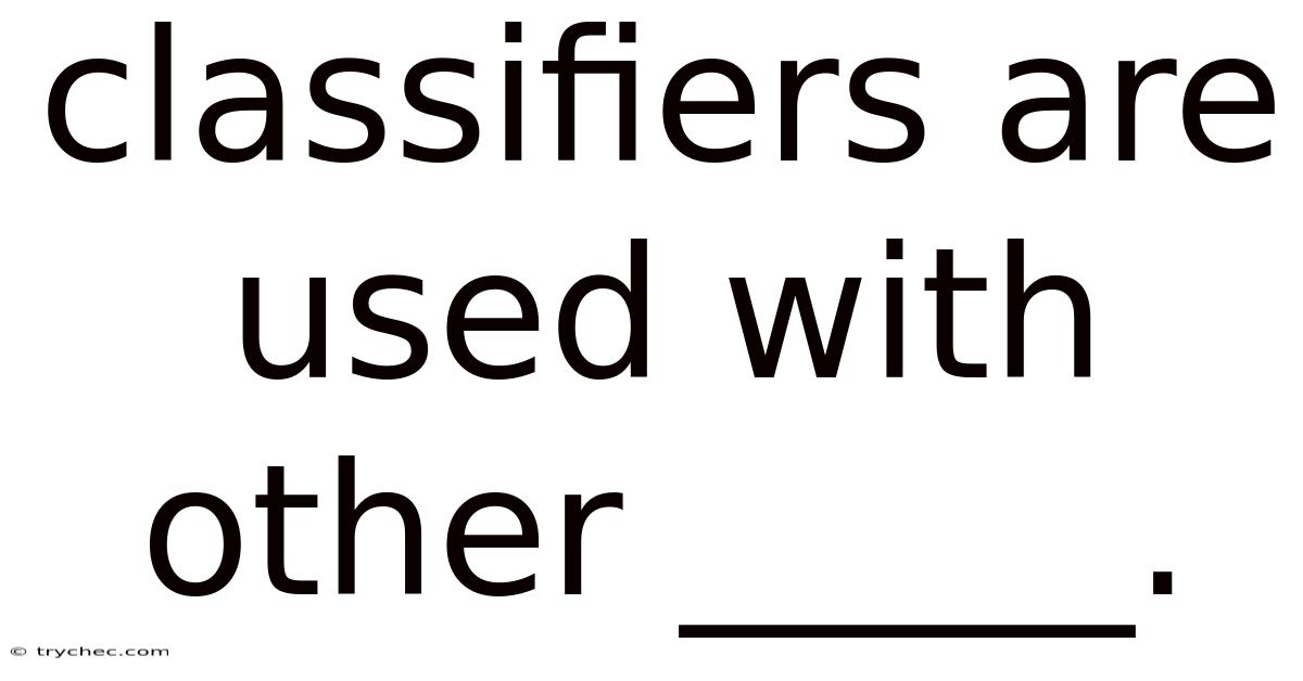 Classifiers Are Used With Other _____.