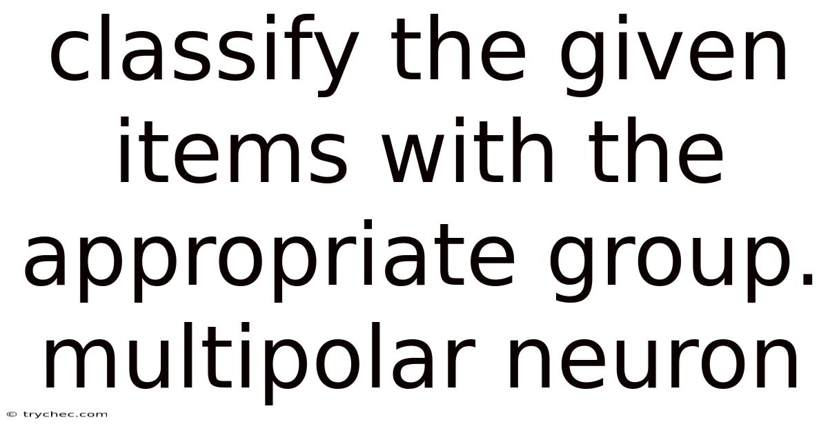 Classify The Given Items With The Appropriate Group. Multipolar Neuron