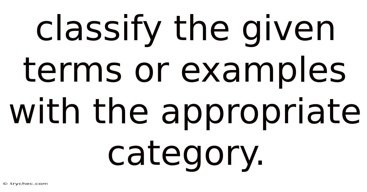 Classify The Given Terms Or Examples With The Appropriate Category.