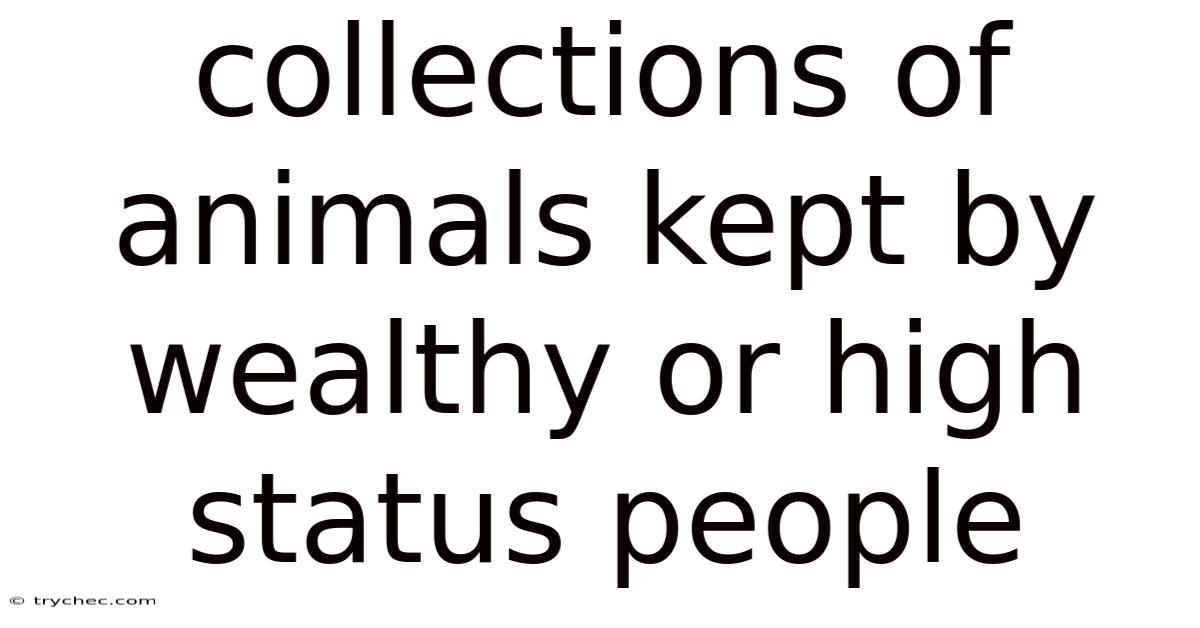 Collections Of Animals Kept By Wealthy Or High Status People