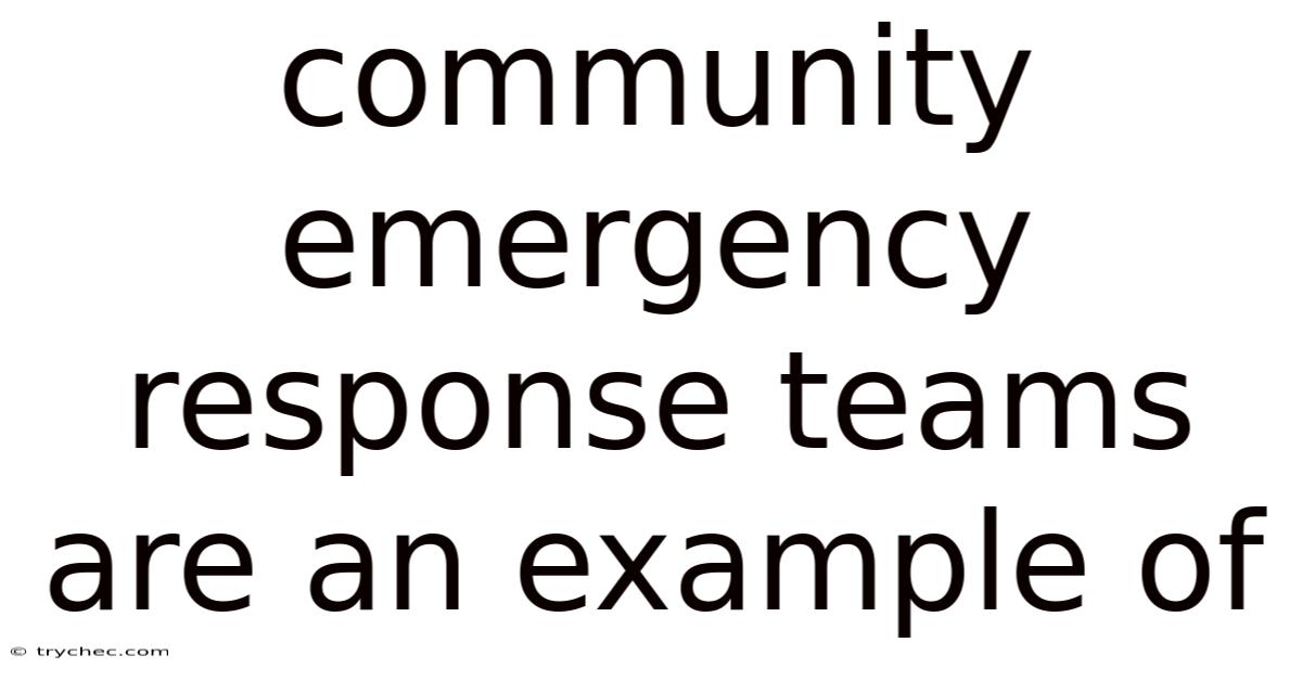 Community Emergency Response Teams Are An Example Of
