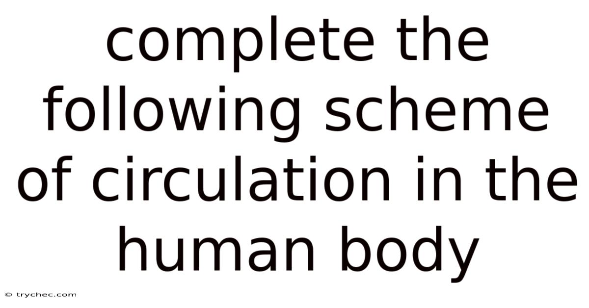 Complete The Following Scheme Of Circulation In The Human Body