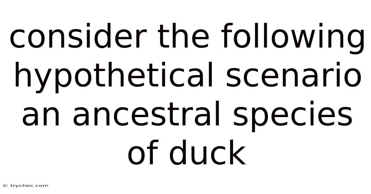 Consider The Following Hypothetical Scenario An Ancestral Species Of Duck