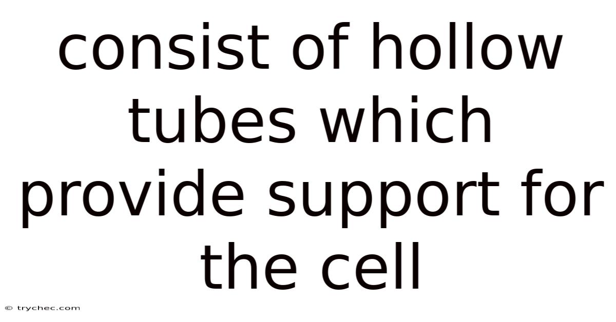 Consist Of Hollow Tubes Which Provide Support For The Cell