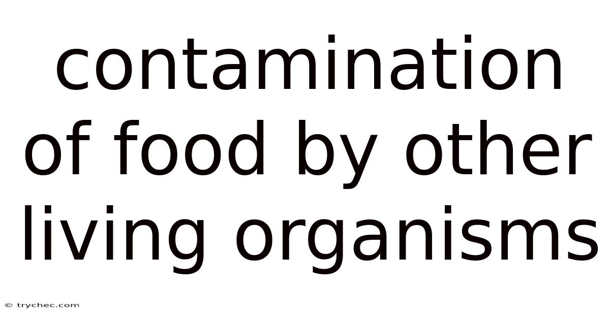 Contamination Of Food By Other Living Organisms